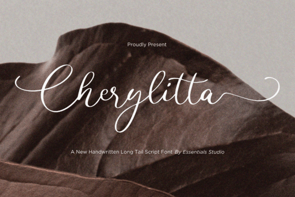 Choosing Cherylitta: A Font for Modern Digital Brands